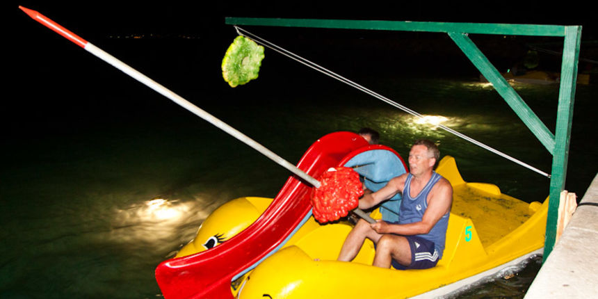 Biograd na Moru: 3. Morska alga, Foto: Franjo Jurić