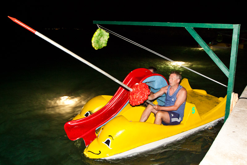 Biograd na Moru: 3. Morska alga, Foto: Franjo Jurić