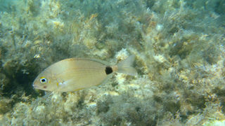 OLYMPUS DIGITAL CAMERA OLYMPUS DIGITAL CAMERA