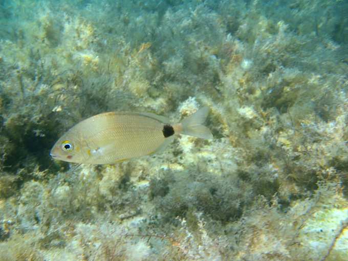 OLYMPUS DIGITAL CAMERA OLYMPUS DIGITAL CAMERA