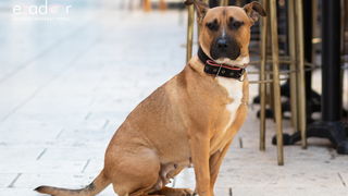 Đir po gradu, subotnja špica 16. veljače 2019. Đir po gradu, subotnja špica 16. veljače 2019.