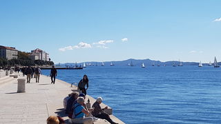 Zadarska Koka 2016. 22. listopada 2016. Foto: Mladen Malik Zadarska Koka 2016. 22. listopada 2016. Foto: Mladen Malik