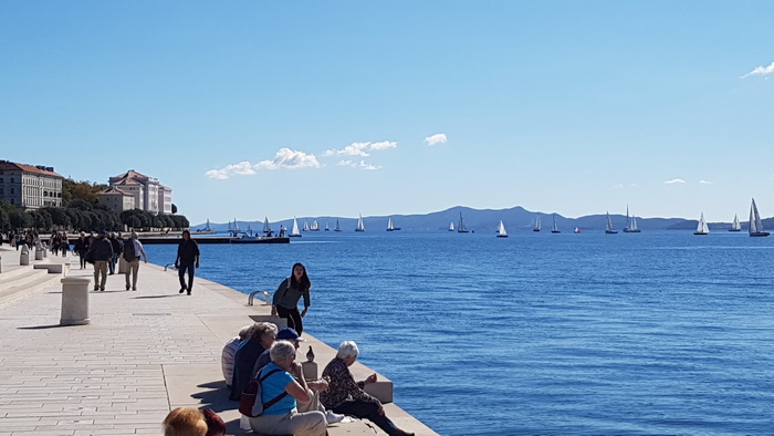 Zadarska Koka 2016. 22. listopada 2016. Foto: Mladen Malik Zadarska Koka 2016. 22. listopada 2016. Foto: Mladen Malik