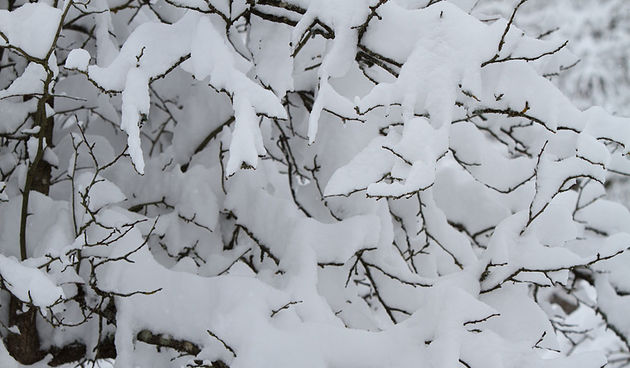 Đir Likom u objektivu Lea Banića, snijeg