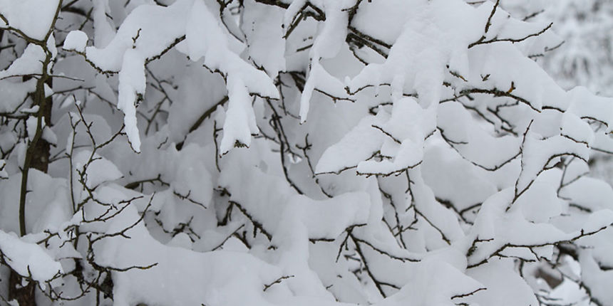 Đir Likom u objektivu Lea Banića, snijeg Đir Likom u objektivu Lea Banića, snijeg