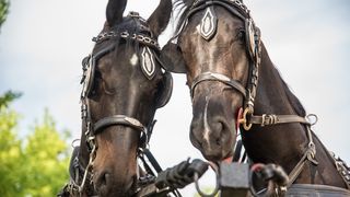 Drugi dan festivala “SVI zaJEDNO HRVATSKO NAJ”! Drugi dan festivala “SVI zaJEDNO HRVATSKO NAJ”!