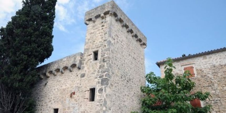 kula stojana jankovica