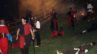 Zvonimirovi dani, Knin 28. i 29. lipnja 2008.