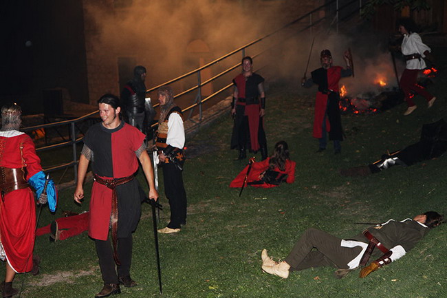 Zvonimirovi dani, Knin 28. i 29. lipnja 2008.