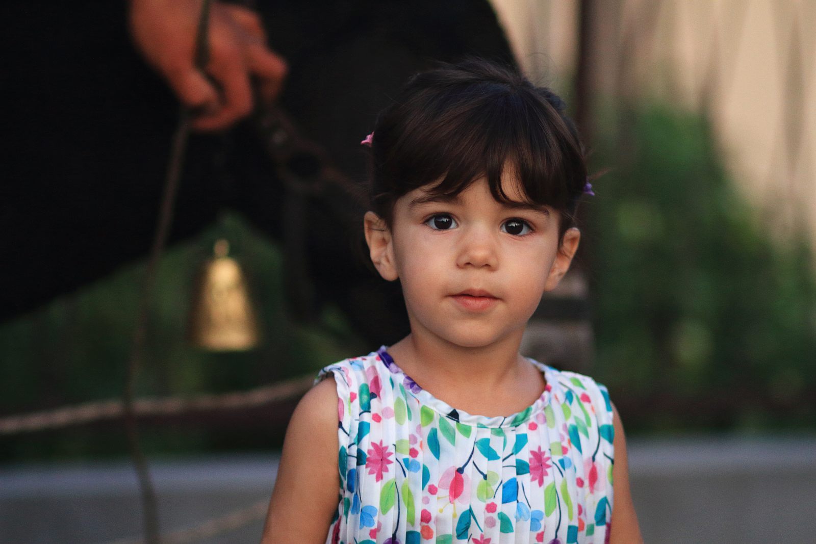 Trka Tovarov – 48. Memorijal Kenje Vijole Sukošan  Photo: Leo Banić