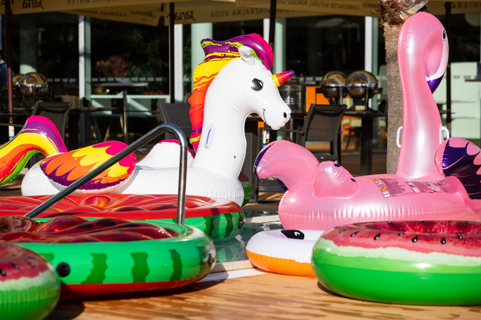 Cosmopolitan pool party @ Hotel Radisson Blue