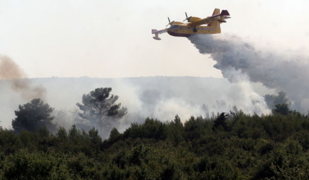 Zadar, 240809.
Veliki pozar kod Smokovica i Zemunika pokraj Zadra gase cetiri kanadera i dva air traktora. Gori nisko raslinje, a vatra je zaprijetila vojnoj pisti. Vjetar otezava gasenje.
Foto: Branislav Grgurovic / CROPIX
