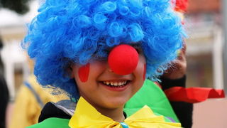 Virski karnevalić 2016. Virski karnevalić 2016.