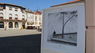 Izložba “Prijatelji mora” na pulskom Forumu, foto: Robi.B/hedonist385.com