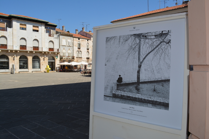 Izložba “Prijatelji mora” na pulskom Forumu, foto: Robi.B/hedonist385.com