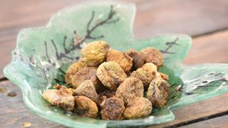 Delicije na sajmu “Gastro smokva” Delicije na sajmu “Gastro smokva”