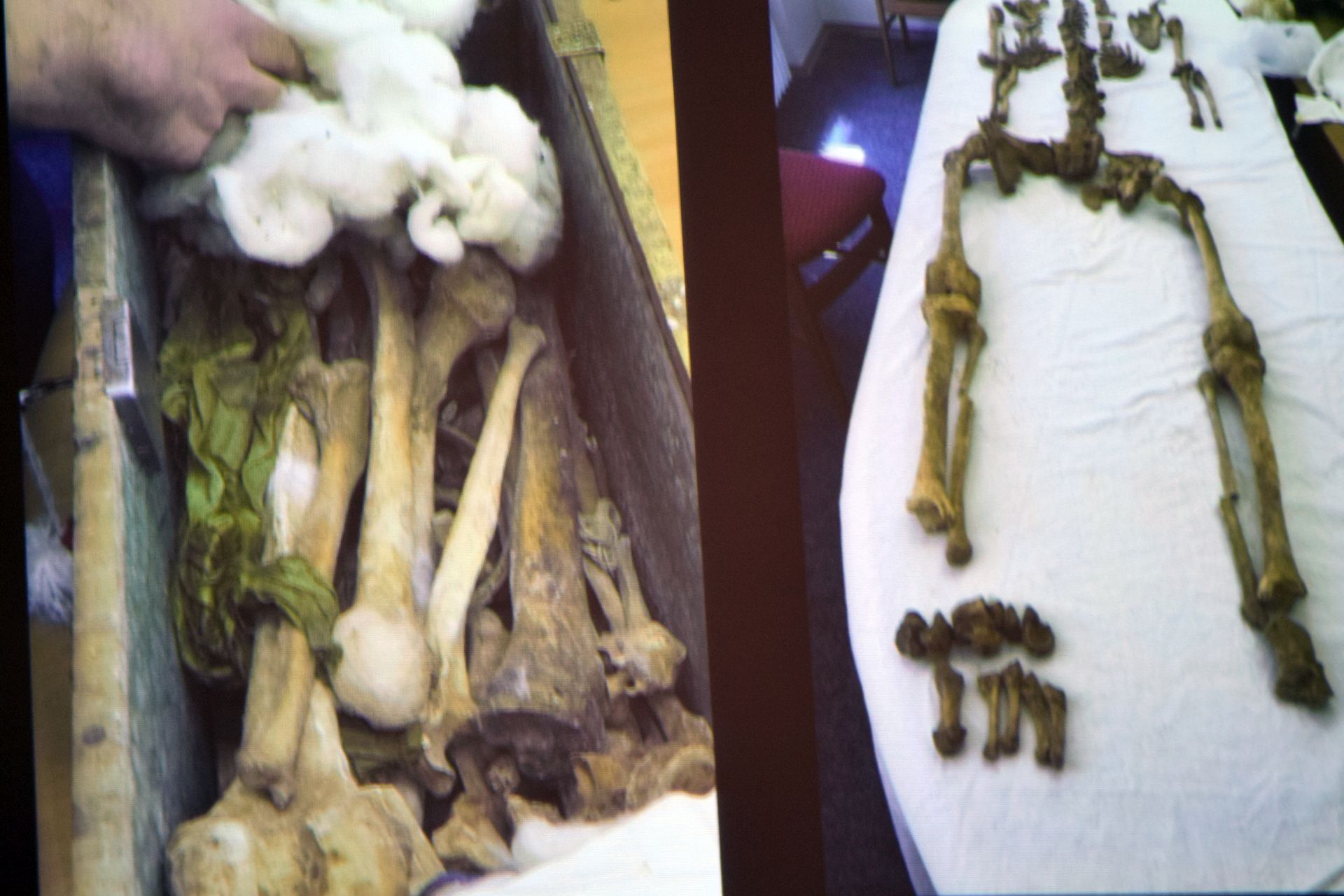 Otkrivene tajne relikvija zadarskih zaštitnika Otkrivene tajne relikvija zadarskih zaštitnika