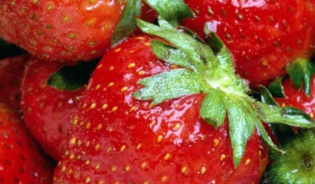 Jagode (Foto: organicgardenfood.com)