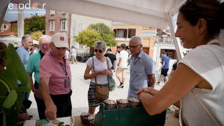 11. Festival smokava – Gastro smokva @ Muzej antičkog stakla 11. Festival smokava – Gastro smokva @ Muzej antičkog stakla