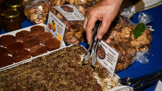 Gastro & wine night @ Vrsi Gastro & wine night @ Vrsi