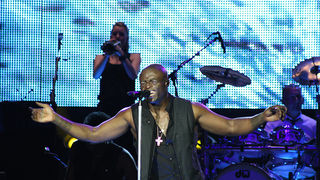 Seal u Zadru 14. srpnja 2010. (foto:Saša Čuka)