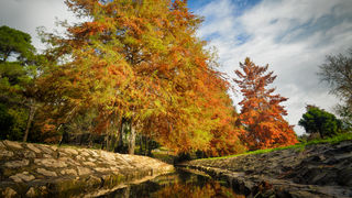 Jesenski đir po gradu, 15. studenog 2014. , foto: Marin Pitton Jesenski đir po gradu, 15. studenog 2014. , foto: Marin Pitton