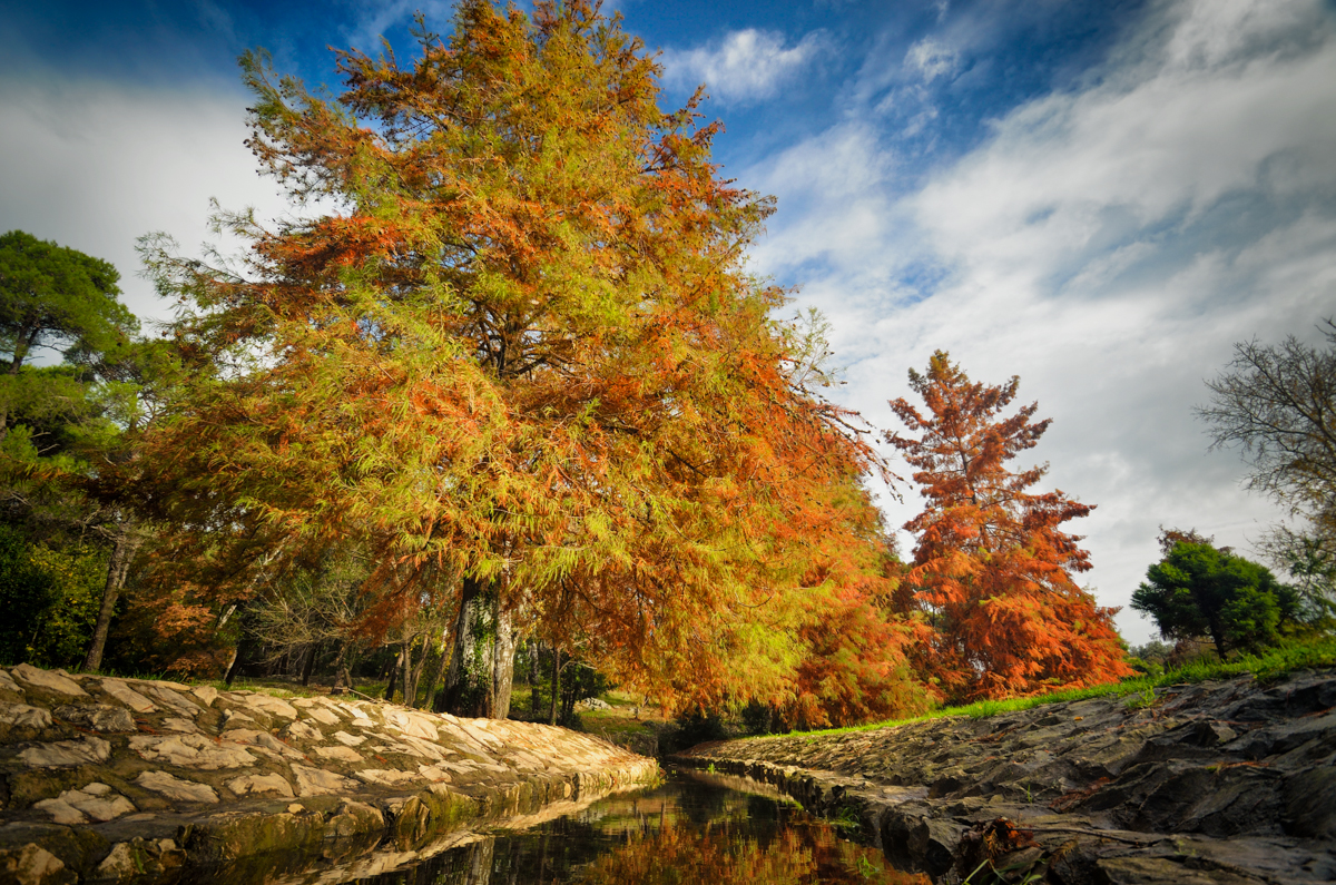 Jesenski đir po gradu, 15. studenog 2014. , foto: Marin Pitton Jesenski đir po gradu, 15. studenog 2014. , foto: Marin Pitton