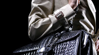 Torbice za proljeće 2010.