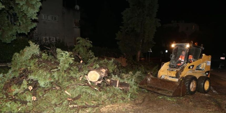 Snazno nevrijeme zahvatio juznu stranu marjanskog tunela. Vatrogasci i cestrai uklanjaju iscupana stabla. Photo: Ivo Cagalj/PIXSELL