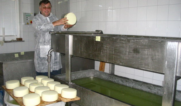 Sirenje u mljekari MIH u Kolanu (Foto: J. Portada)