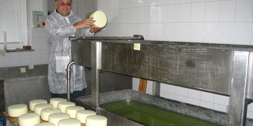 Sirenje u mljekari MIH u Kolanu (Foto: J. Portada) Sirenje u mljekari MIH u Kolanu (Foto: J. Portada)