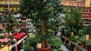 bauMax Zadar: -15% dan 19. ožujka 2014, Foto: Roberto Lerga bauMax Zadar: -15% dan 19. ožujka 2014, Foto: Roberto Lerga