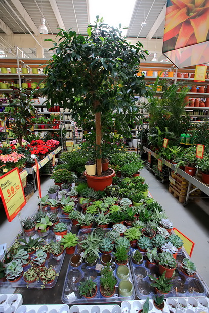 bauMax Zadar: -15% dan 19. ožujka 2014, Foto: Roberto Lerga bauMax Zadar: -15% dan 19. ožujka 2014, Foto: Roberto Lerga