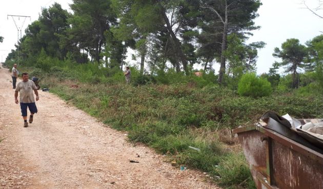 Zelena čistka u Bibinjama