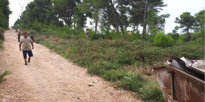 Zelena čistka u Bibinjama Zelena čistka u Bibinjama