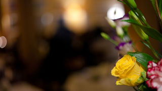 Degustacija novog menija u restoranu Kornat, foto: Darko Belančić Degustacija novog menija u restoranu Kornat, foto: Darko Belančić