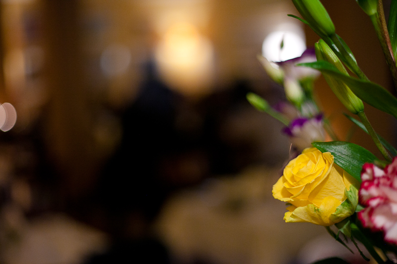 Degustacija novog menija u restoranu Kornat, foto: Darko Belančić Degustacija novog menija u restoranu Kornat, foto: Darko Belančić