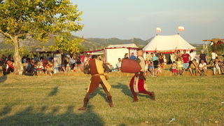 Dani vitezova vranskih, 19. srpnja 2014.