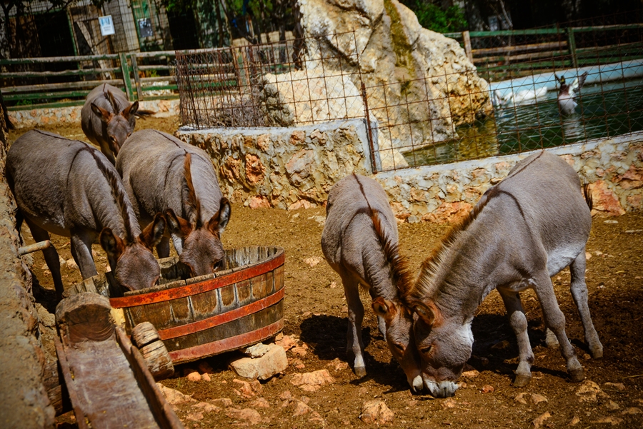 Zaton Obrovački: ZOO s egzotičnim i domaćim životinjama Zaton Obrovački: ZOO s egzotičnim i domaćim životinjama