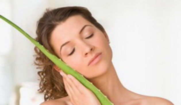 Aloe Vera ( foto: Žena.hr )