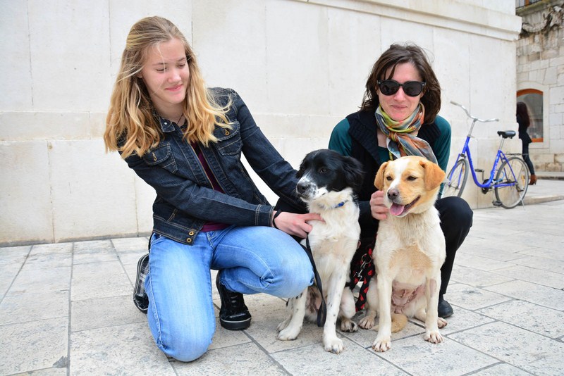 Skup podrške za NO KILL skloništa za životinje,  foto Iva Perinčić