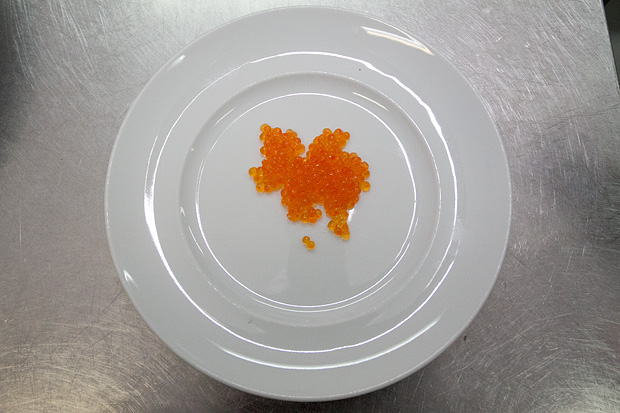 Image 875187 (auto) Image 875187 (auto)