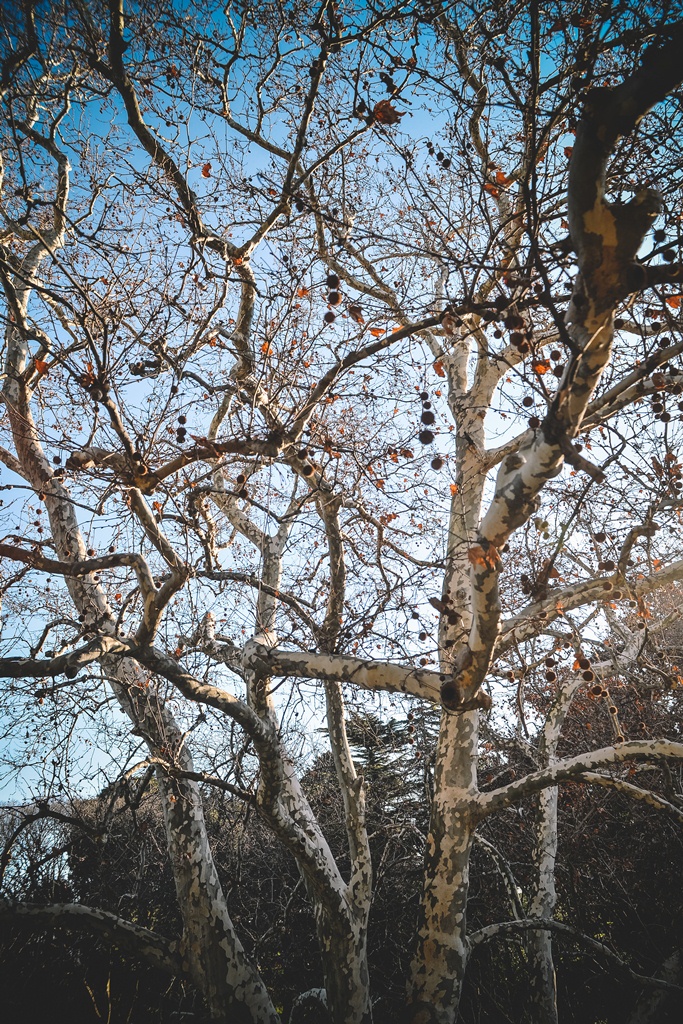 Đir po gradu, 22. siječnja 2016., foto: Iva Perinčić Đir po gradu, 22. siječnja 2016., foto: Iva Perinčić