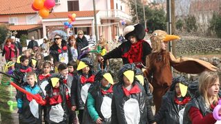 Virski Karnevalić 2017.