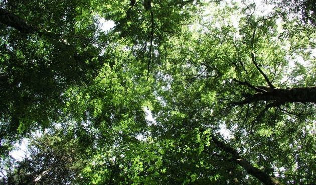 Foto natječaj: “Velebit – planina inspiracije”