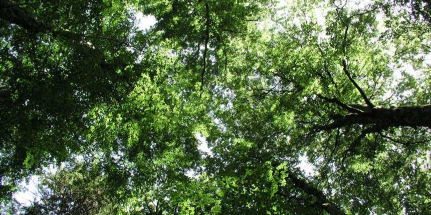 Foto natječaj: “Velebit – planina inspiracije”