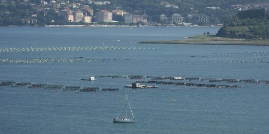 Image 378817 (auto) Image 378817 (auto)