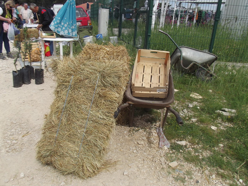 Benkovački sajam, 10. svibnja 2015.