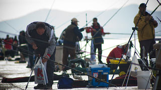 Kup sv. Krševana – Natjecanje u ribolovu s rive (foto:Saša Čuka) Kup sv. Krševana – Natjecanje u ribolovu s rive (foto:Saša Čuka)