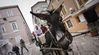 Sv.Nikola (foto:Saša Čuka)